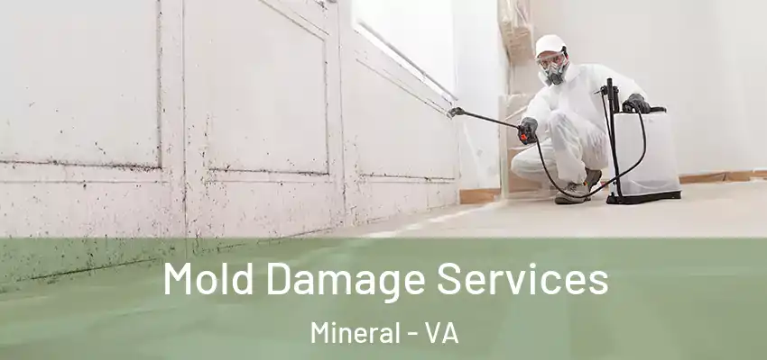 Mold Damage Services Mineral - VA