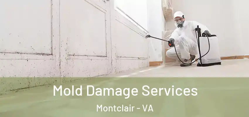  Mold Damage Services Montclair - VA