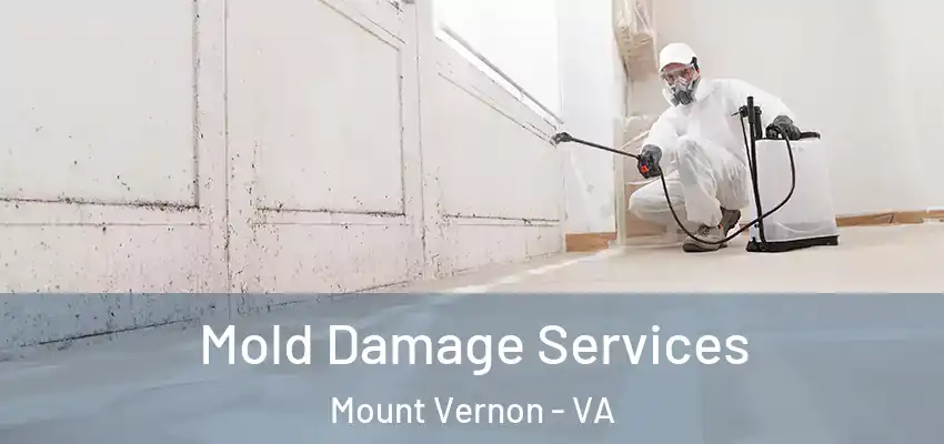 Mold Damage Services Mount Vernon - VA