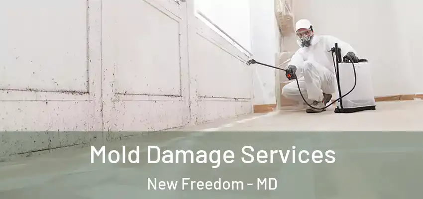 Mold Damage Services New Freedom - MD
