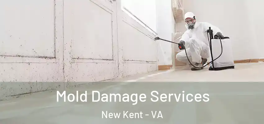 Mold Damage Services New Kent - VA