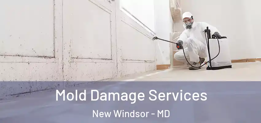 Mold Damage Services New Windsor - MD