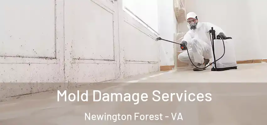 Mold Damage Services Newington Forest - VA