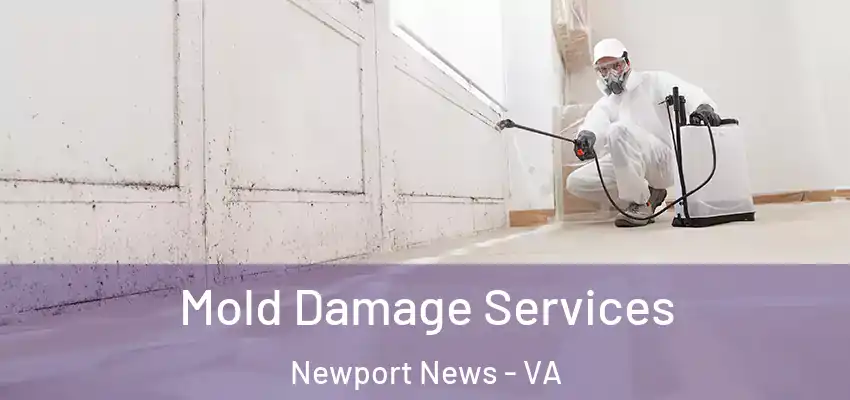  Mold Damage Services Newport News - VA