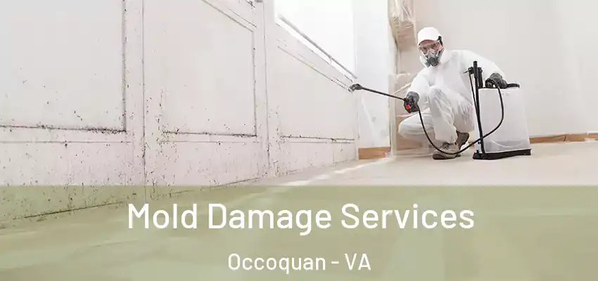 Mold Damage Services Occoquan - VA