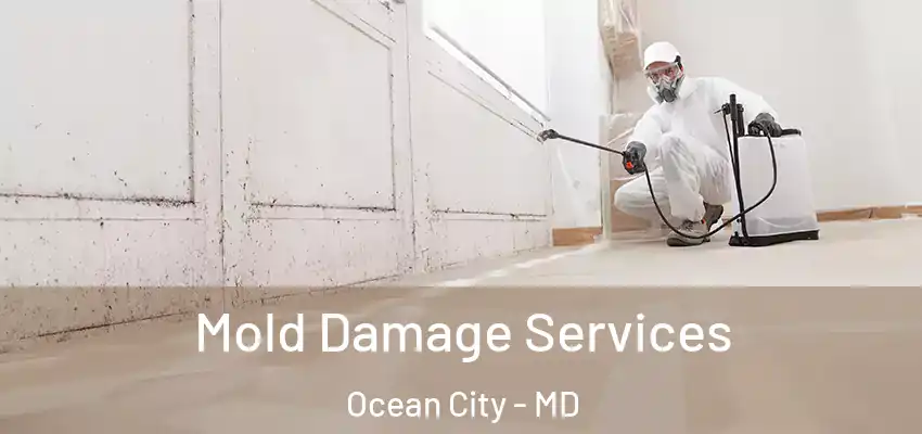 Mold Damage Services Ocean City - MD