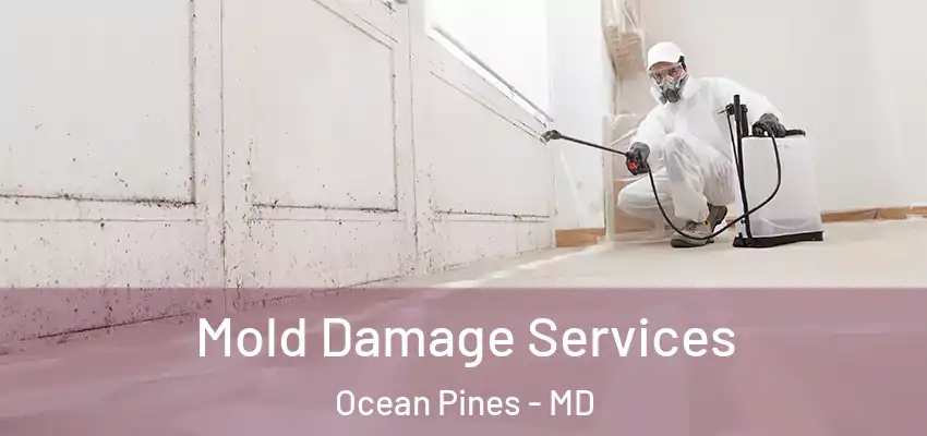Mold Damage Services Ocean Pines - MD