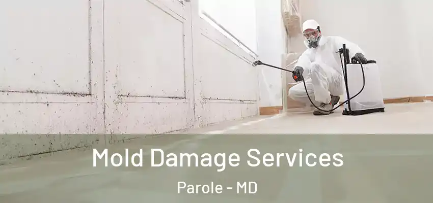  Mold Damage Services Parole - MD