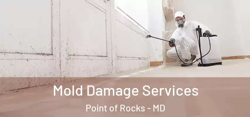  Mold Damage Services Point of Rocks - MD