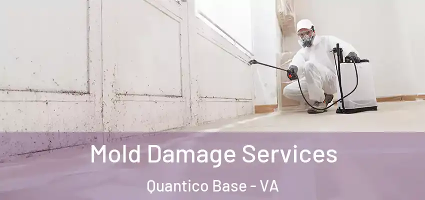  Mold Damage Services Quantico Base - VA