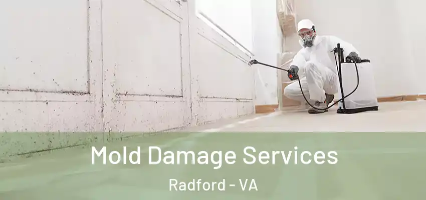 Mold Damage Services Radford - VA