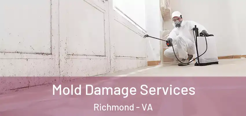 Mold Damage Services Richmond - VA