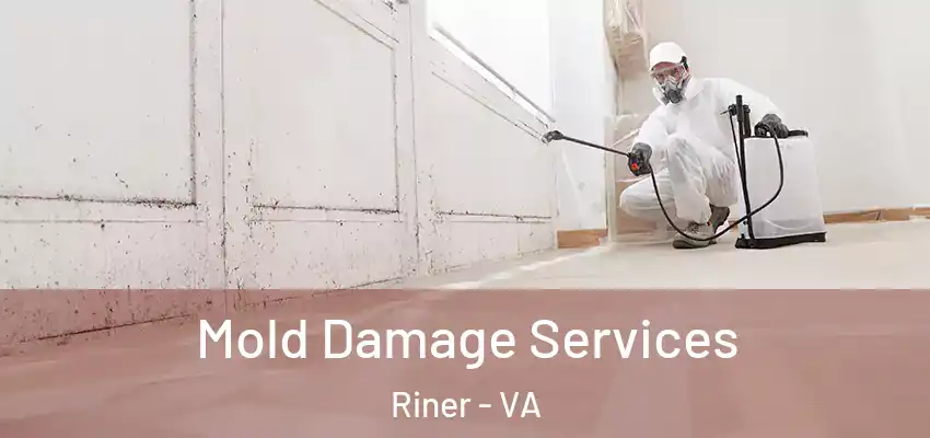 Mold Damage Services Riner - VA