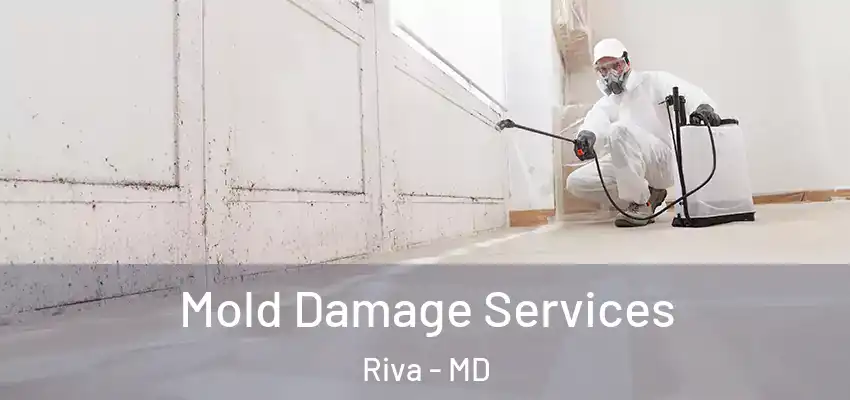  Mold Damage Services Riva - MD