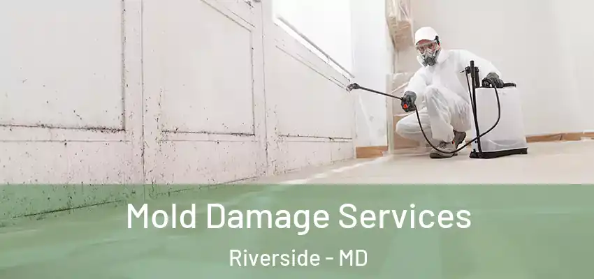  Mold Damage Services Riverside - MD
