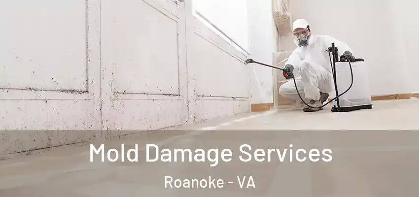  Mold Damage Services Roanoke - VA