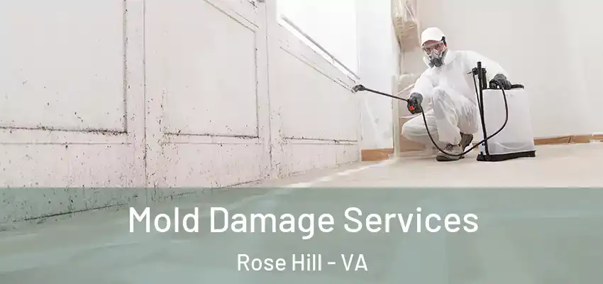 Mold Damage Services Rose Hill - VA