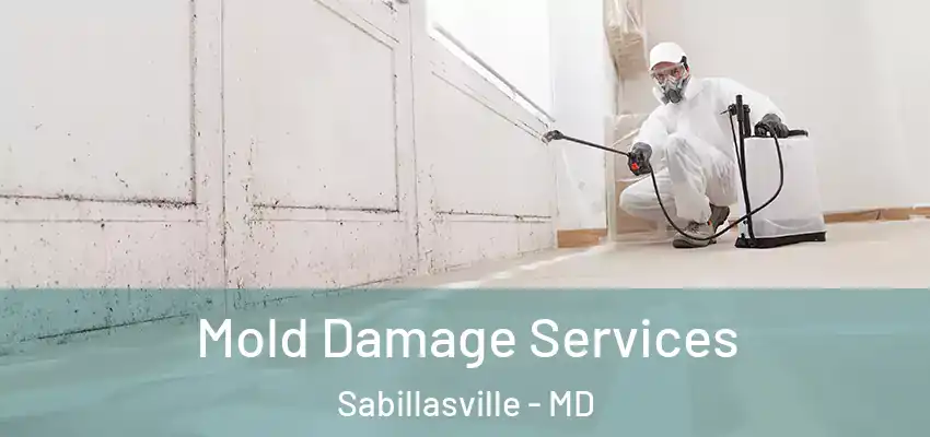 Mold Damage Services Sabillasville - MD