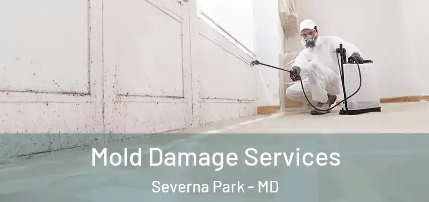 Mold Damage Services Severna Park - MD