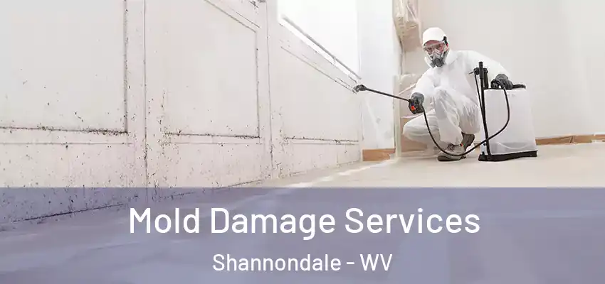 Mold Damage Services Shannondale - WV