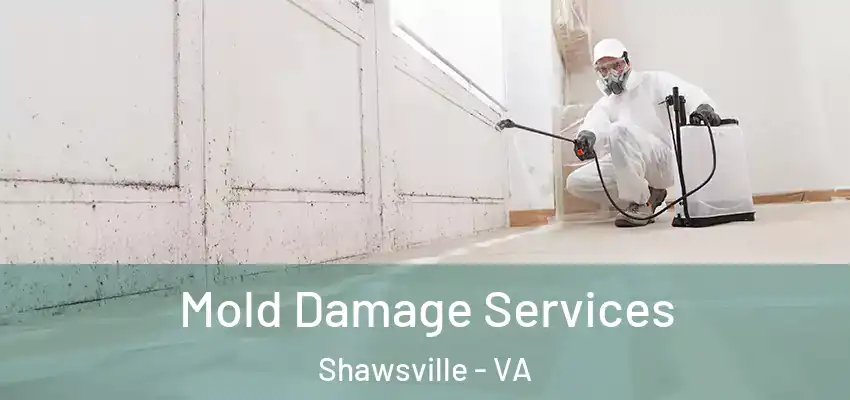 Mold Damage Services Shawsville - VA