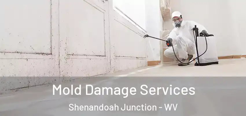 Mold Damage Services Shenandoah Junction - WV