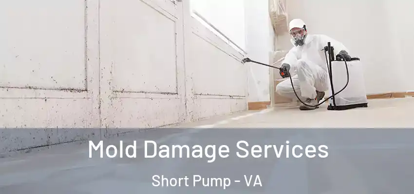  Mold Damage Services Short Pump - VA