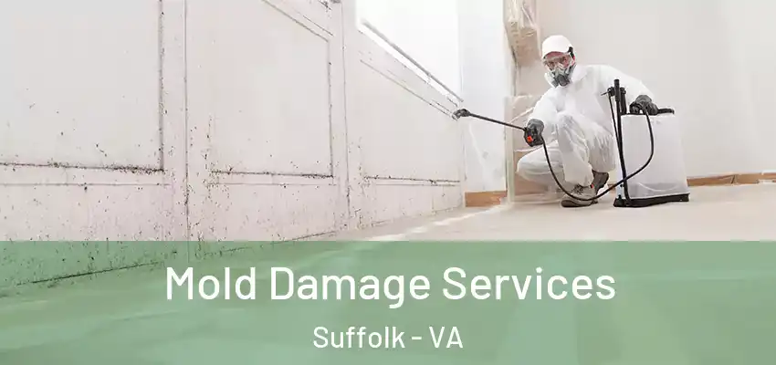 Mold Damage Services Suffolk - VA