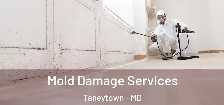 Mold Damage Services Taneytown - MD