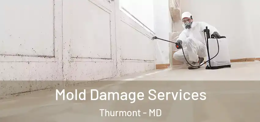 Mold Damage Services Thurmont - MD