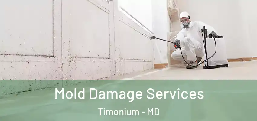  Mold Damage Services Timonium - MD