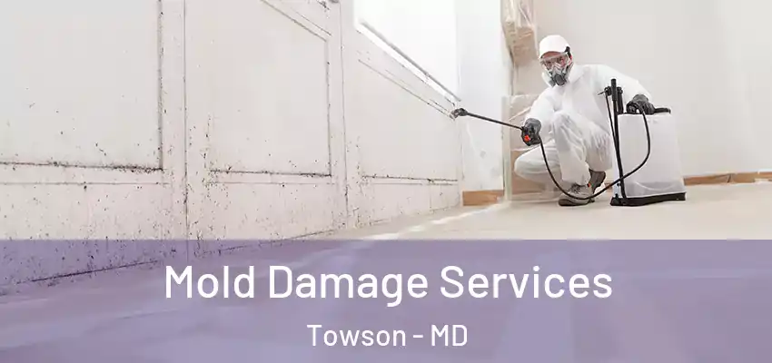  Mold Damage Services Towson - MD