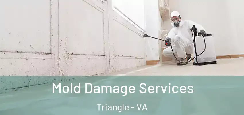  Mold Damage Services Triangle - VA