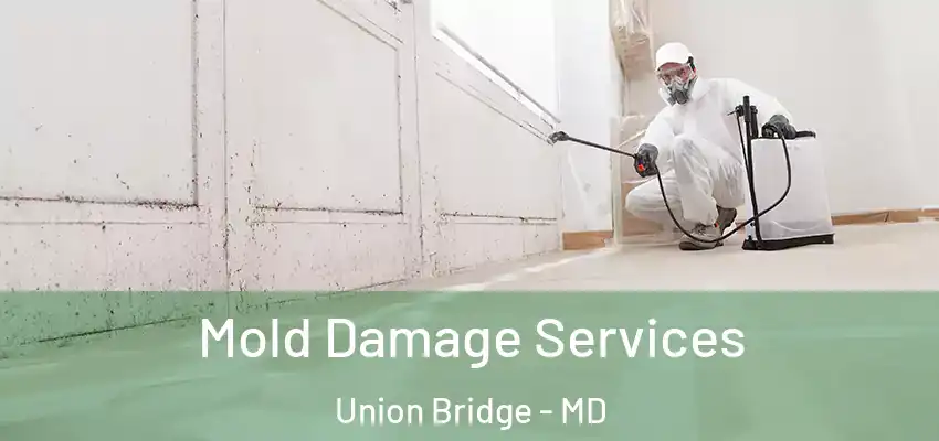  Mold Damage Services Union Bridge - MD