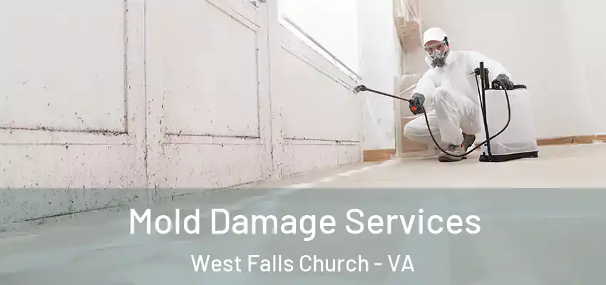  Mold Damage Services West Falls Church - VA