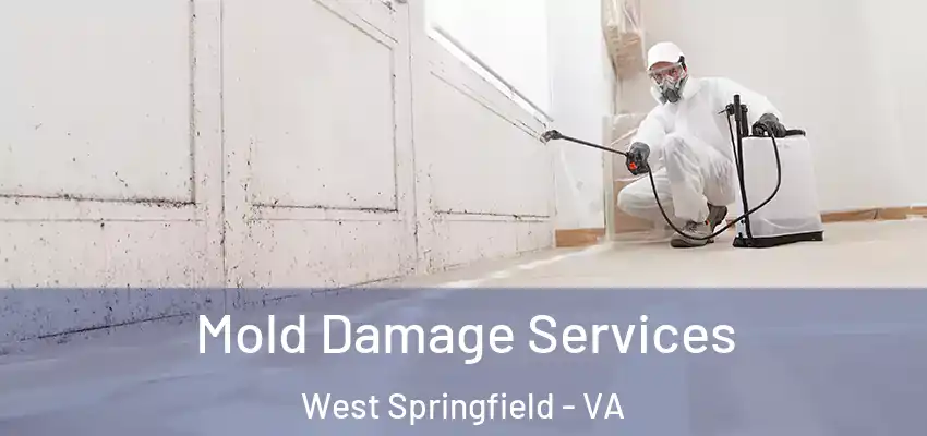 Mold Damage Services West Springfield - VA