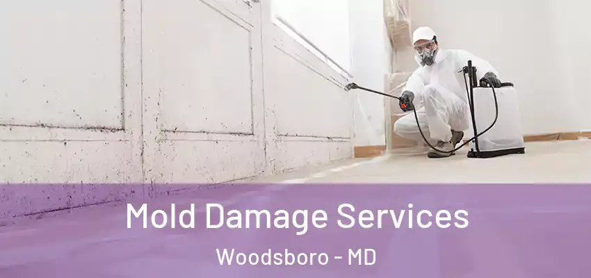 Mold Damage Services Woodsboro - MD