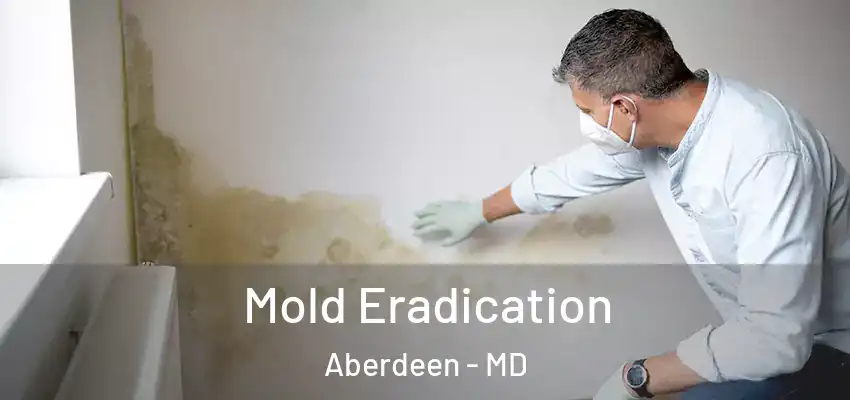 Mold Eradication Aberdeen - MD