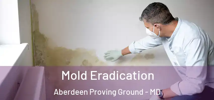 Mold Eradication Aberdeen Proving Ground - MD
