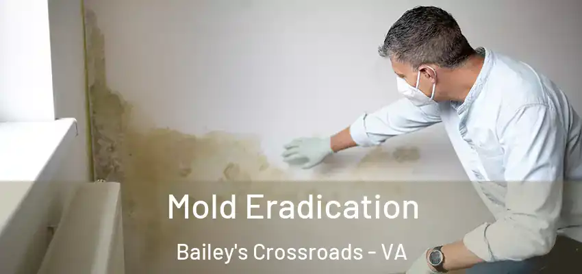  Mold Eradication Bailey's Crossroads - VA