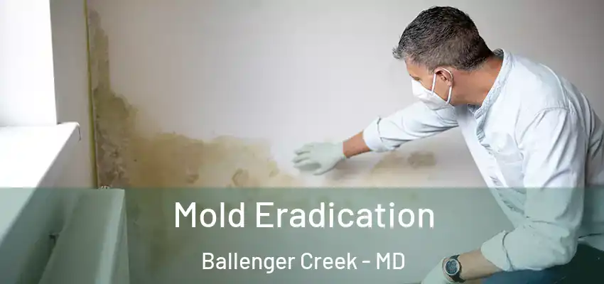 Mold Eradication Ballenger Creek - MD