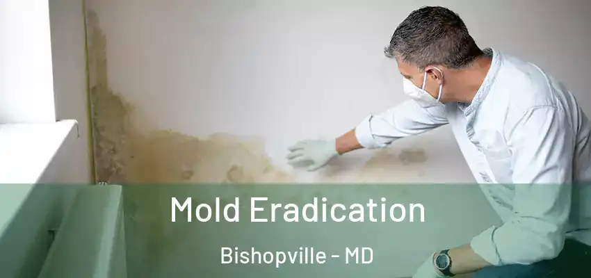  Mold Eradication Bishopville - MD