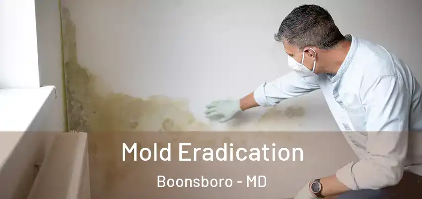  Mold Eradication Boonsboro - MD