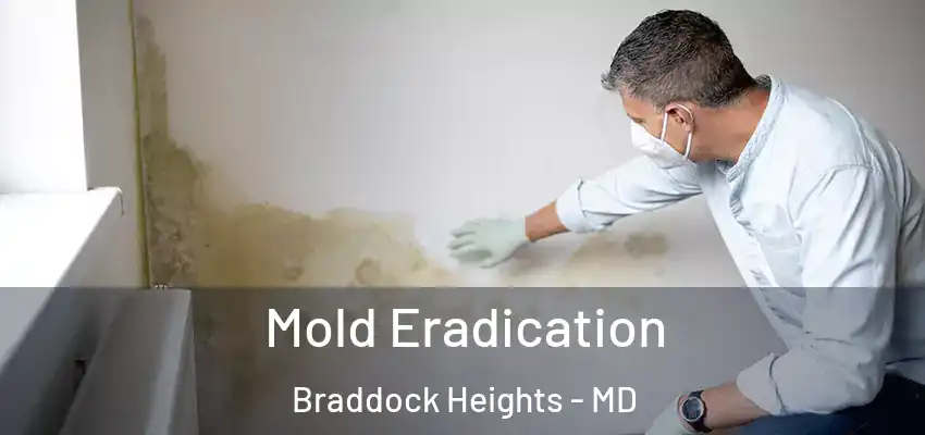 Mold Eradication Braddock Heights - MD