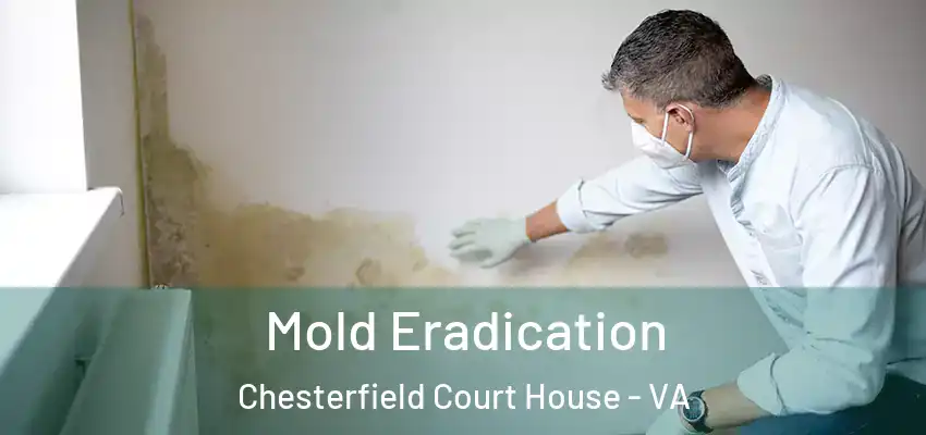 Mold Eradication Chesterfield Court House - VA