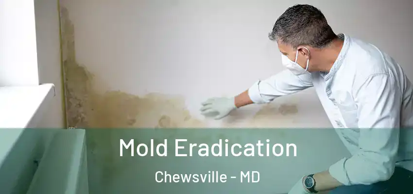  Mold Eradication Chewsville - MD