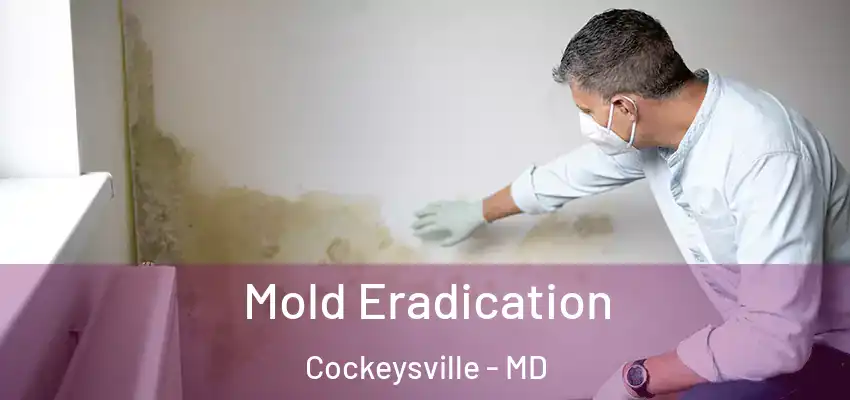  Mold Eradication Cockeysville - MD