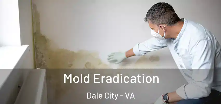 Mold Eradication Dale City - VA