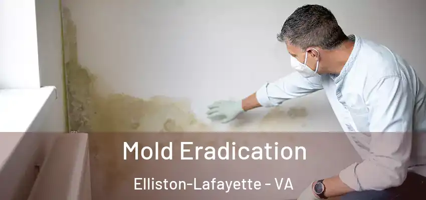 Mold Eradication Elliston-Lafayette - VA
