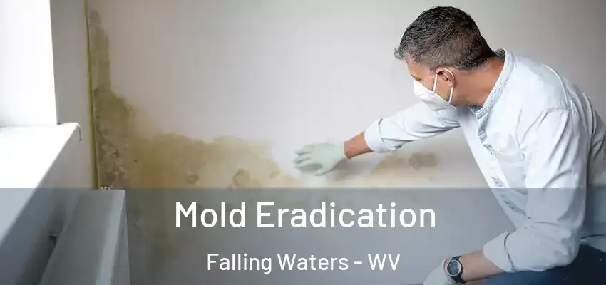 Mold Eradication Falling Waters - WV